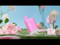 Drala 600/800 soffi Vape eliminabile rinchiude la sigaretta Vape di sapore E della frutta